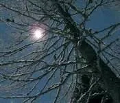 გოდერძი ჩოხელი - სევდა ზღვა არის...