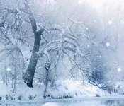 ფიფქები, ცირა, ქიტიაშვილი